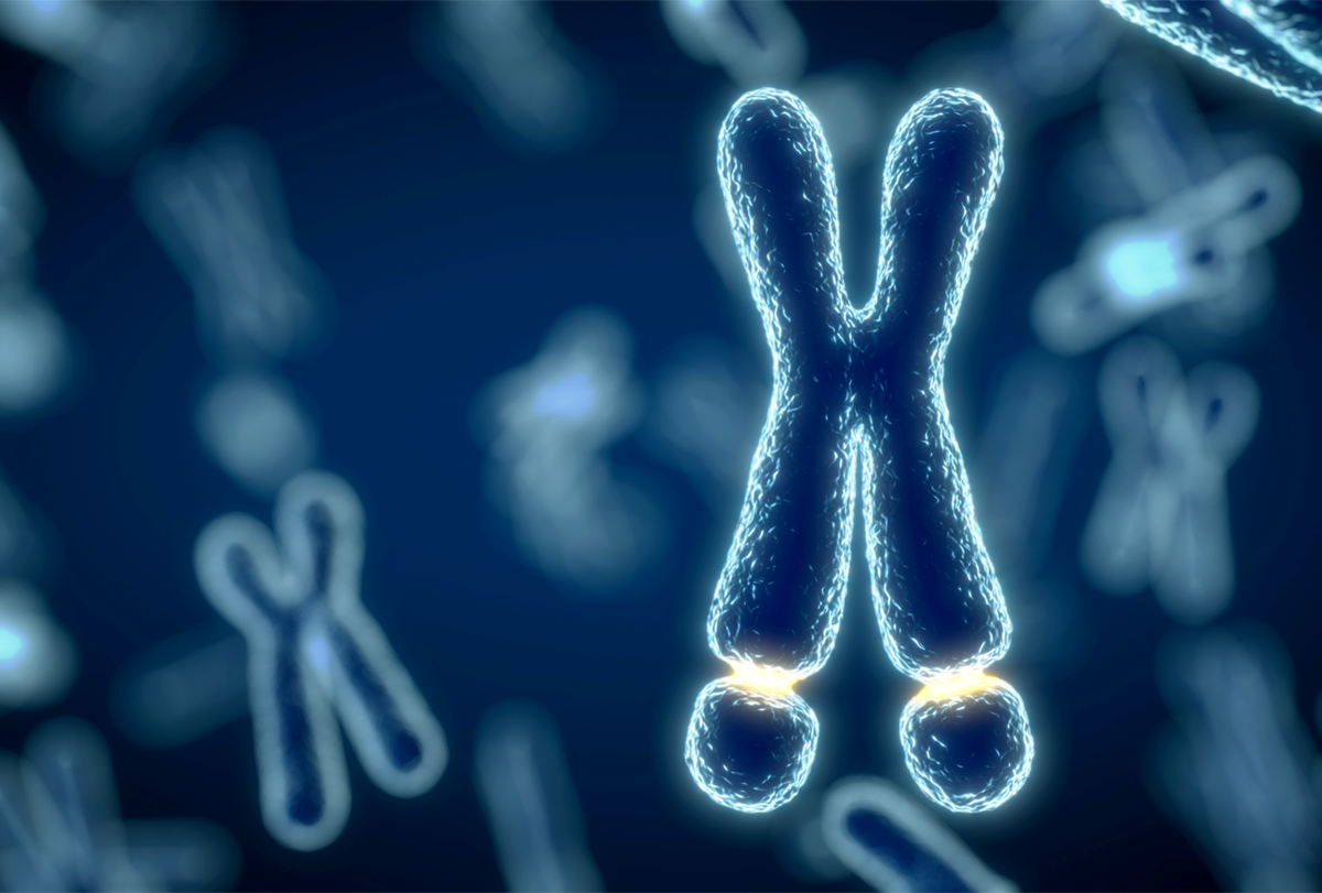 New gene-editing method flags fragile X mutation for repair | Spectrum | Autism Research News