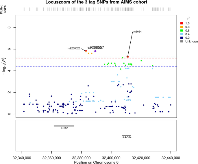 A human leukocyte antigen imputation study uncovers possible genetic interplay between gut inflammatory processes and autism spectrum disorders | Translational Psychiatry