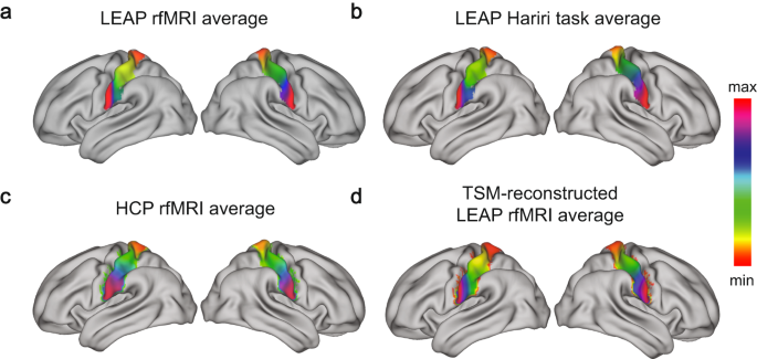 Fine-grained topographic organization within somatosensory cortex during resting-state and emotional face-matching task and its association with ASD traits | Translational Psychiatry