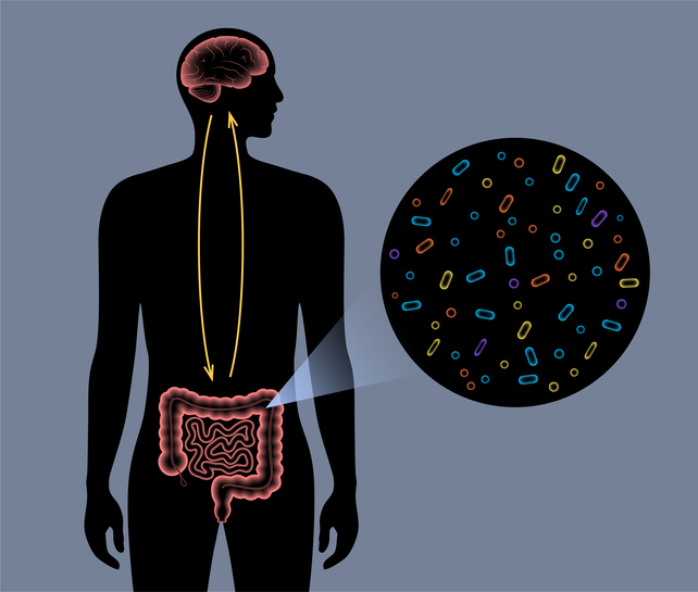 Connection between autism and the microbiome established