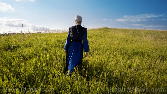 Comprehensive Study: There Are Zero Amish Kids Suffering From Cancer, Diabetes or Autism – Why Is That? – Global ResearchGlobal Research – Centre for Research on Globalization