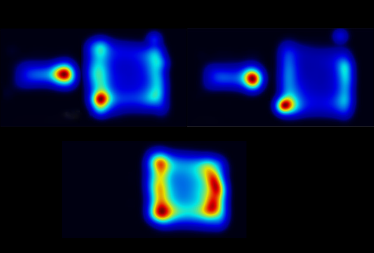 New test taps nose pokes as a proxy for social motivation in mice | Spectrum | Autism Research News