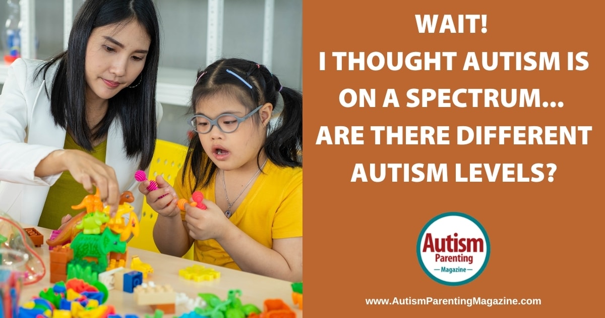 Wait! I Thought Autism Is On A Spectrum… Are There Different Autism Levels?