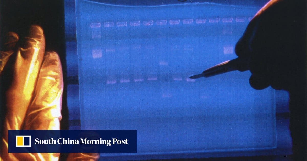 Hong Kong start-up aims to lower cost of early autism detection using whole genome sequencing | South China Morning Post