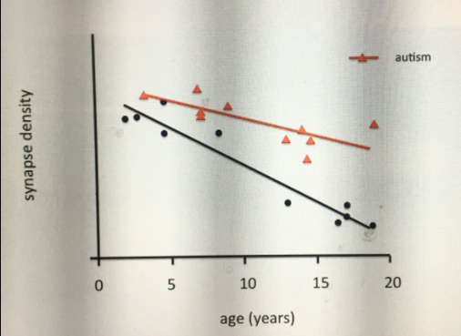 Autism should be defined by age controlled synaptic density and NOTHING ELSE!