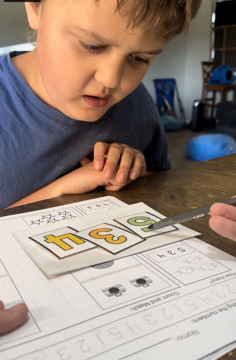 Leading Homeschool Math Lessons with The Leveled Daily Curriculum – The Autism Helper