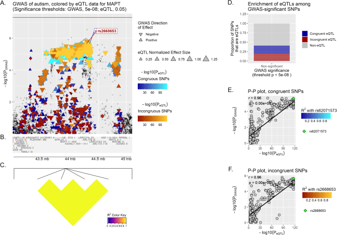 eQTL colocalization analysis highlights novel susceptibility genes in Autism Spectrum Disorders (ASD) | Translational Psychiatry