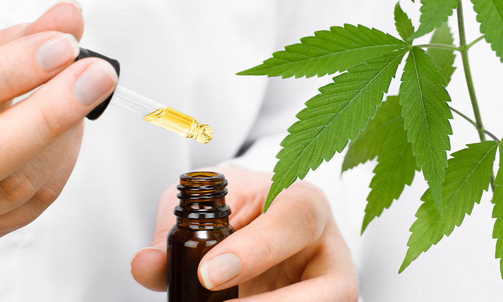 Study Finds Cannabis Treatments for Autism Improved Patients’ Quality of Life