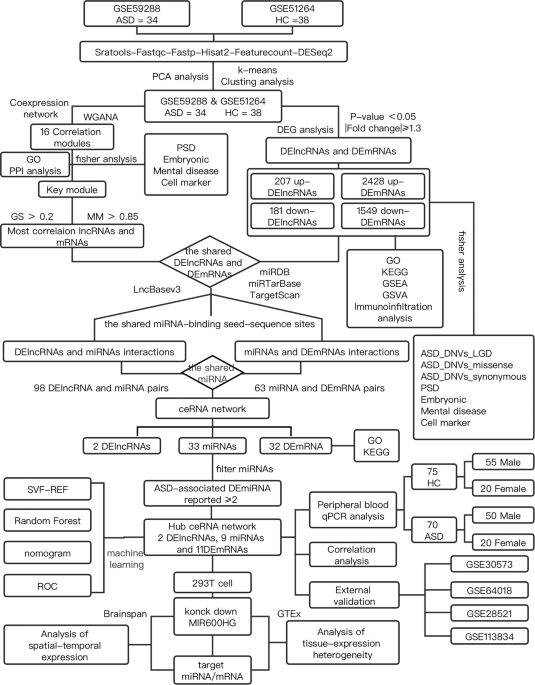 Integrative analysis of long noncoding RNAs dysregulation and synapse-associated ceRNA regulatory axes in autism – Translational Psychiatry